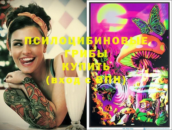кокс Алзамай