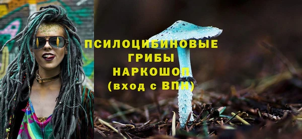дурь Алексин