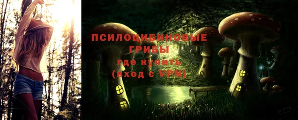 дурь Алексин